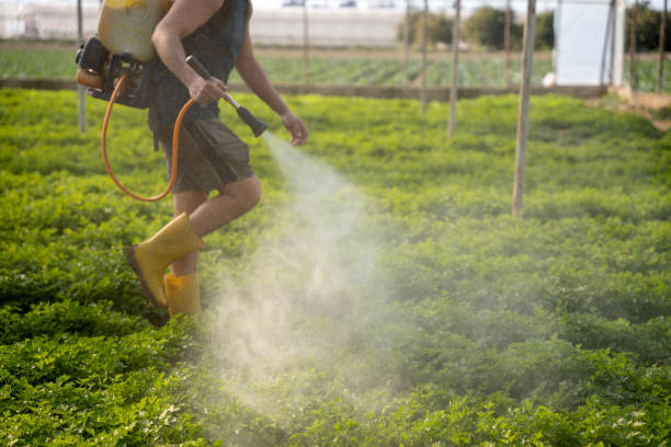 Best Wasp Removal Services  in Ontario, OR