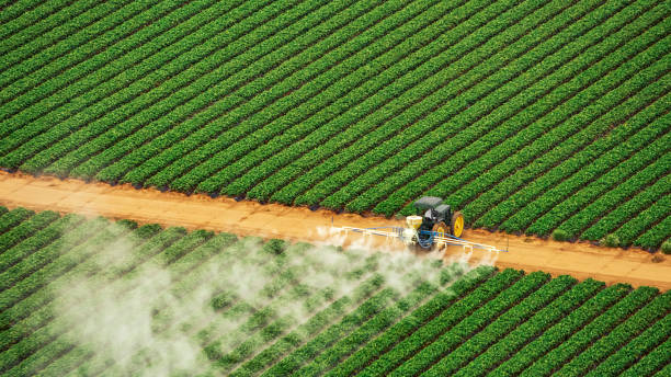 Best Pest Removal Services  in Ontario, OR