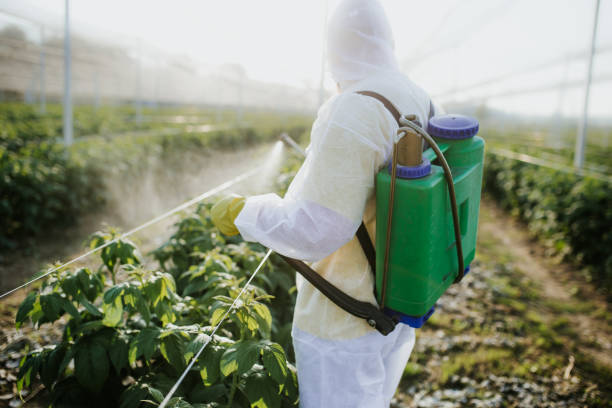 Best Mosquito Control Services  in Ontario, OR